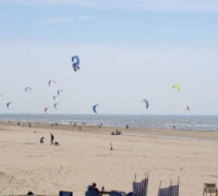 Cerfs-volants - kites