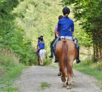 Horse riding - équitation